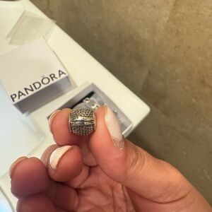 Pandora Epcot Park Exclusive Charm